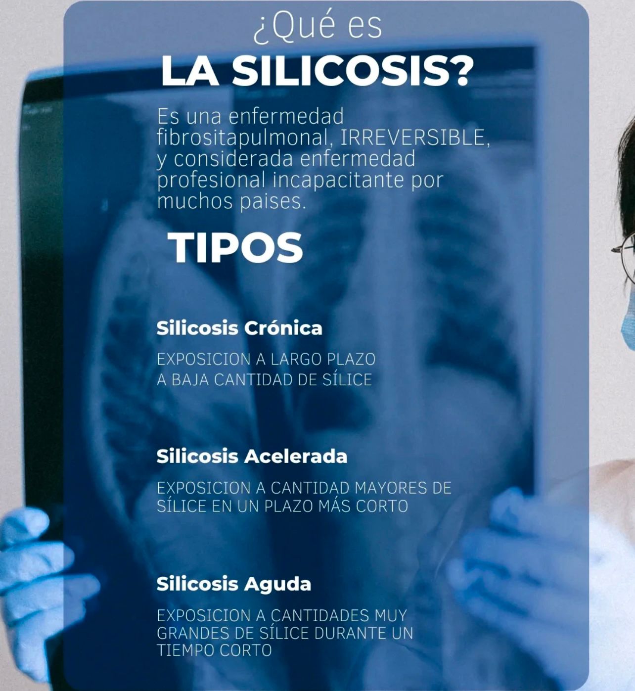 articulo4-2